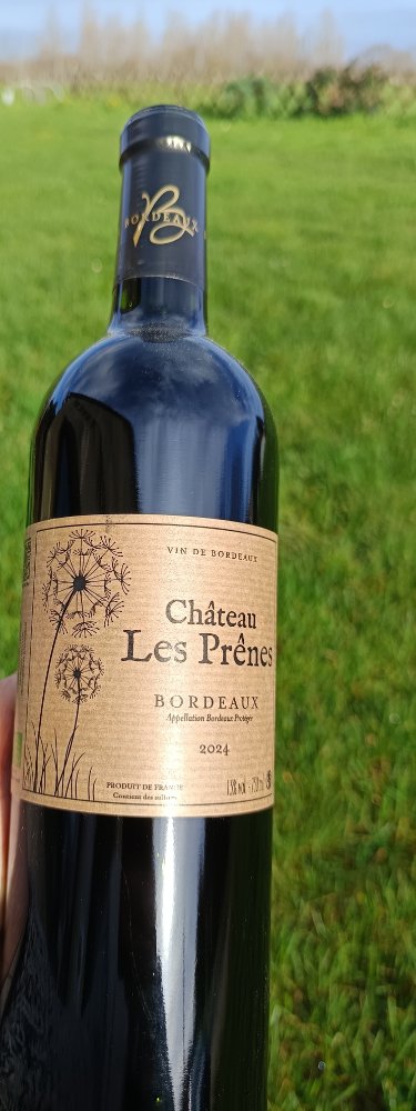 Aire camping-car � N�rigean (33750) - Photo 6